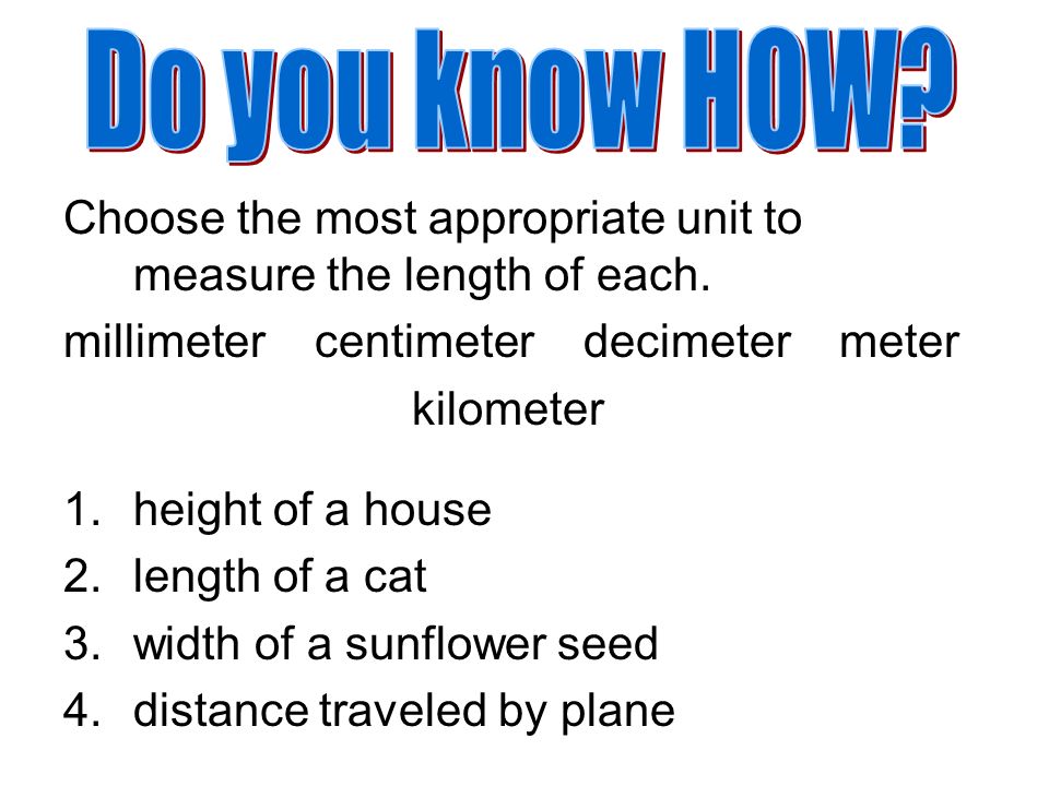Millimeter centimeter decimeter meter cheap